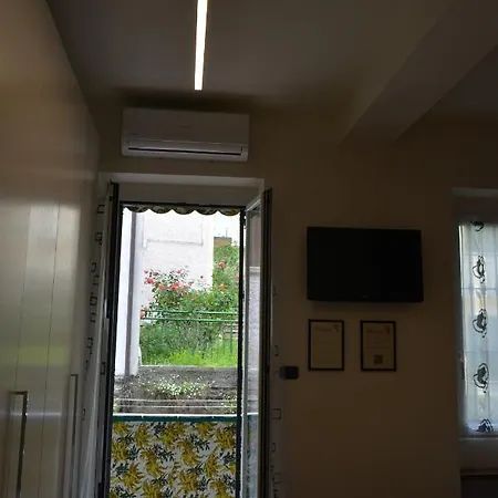 Ilgirasole