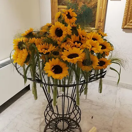 Bed & Breakfast Ilgirasole *