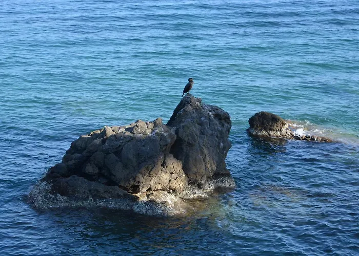 Готель типу 