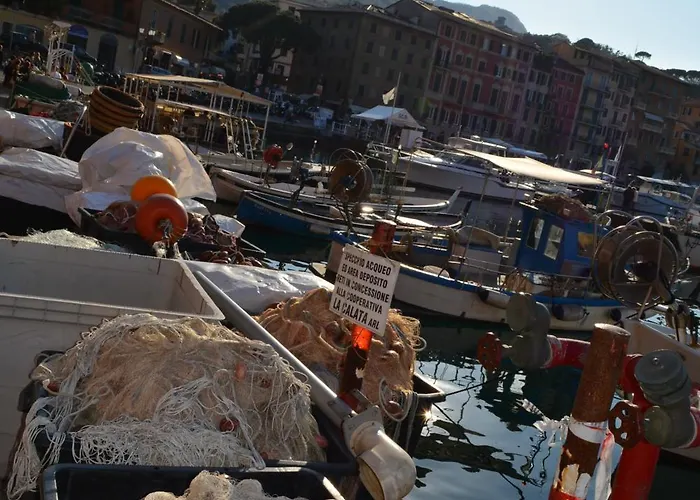 Ilgirasole Готель типу 