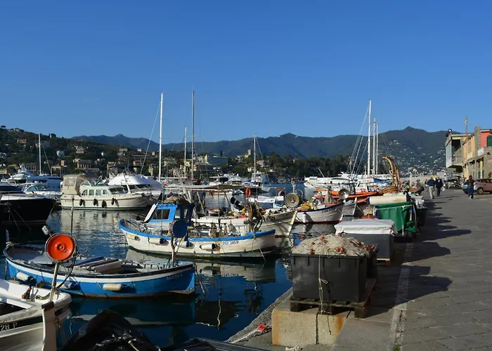 Ilgirasole * Рапалло