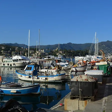 Ilgirasole * ראפאלו